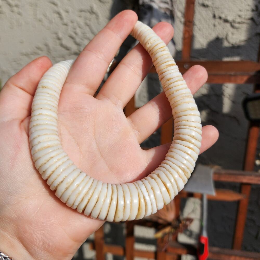 Vtg Ostrich Eggshell Necklace Old Heishi Wafer Disc Beads Hand Rolled Graduated - Picture 5 of 9